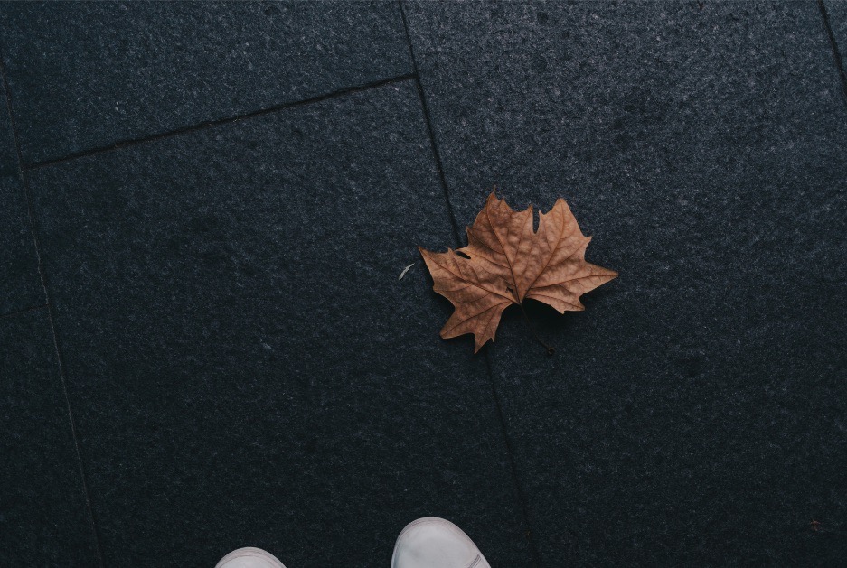 Description of horizontal photo 2